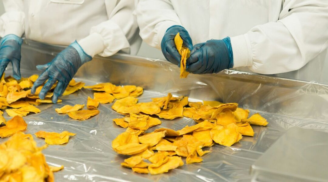 Softwall Cleanroom for the Food and Nutraceutical Industry